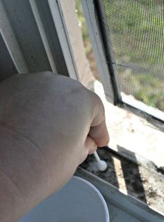 the hand is pointing at an open window with mosquito netting on it's side