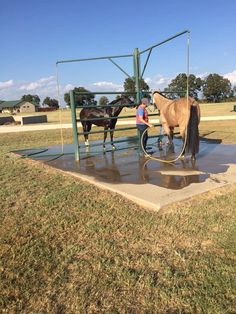 two horses standing on top of a wet field next to a man holding a hose