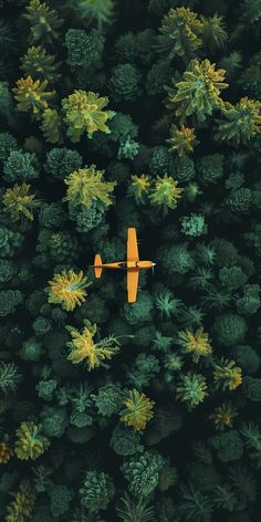 an aerial view of a plane flying over trees