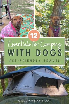 two dogs sitting in the back of a truck with tents on it and trees behind them