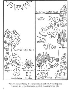 a coloring book page with different types of plants and animals