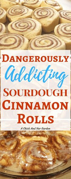 cinnamon rolls on a plate with text overlay that reads, dangerously adding sourdough cinnamon rolls