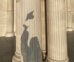 the shadow of a person standing in front of columns