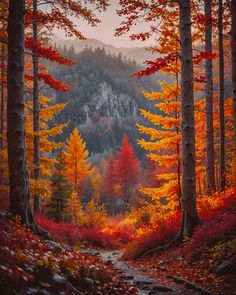 an autumn scene with colorful trees and mountains in the background