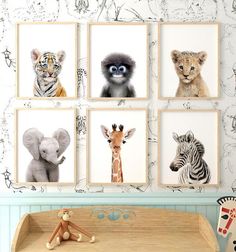 there are four pictures of animals on the wall