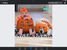 a baby sitting next to a dog holding a pumpkin