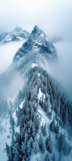 an aerial view of trees and mountains covered in snow