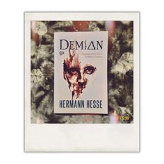 a book cover with the title herman hesse on it's front and side