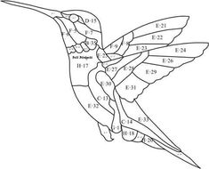 a hummingbird with numbers on it's wings