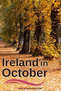 the words ireland in october are surrounded by trees with leaves on them and yellow foliage