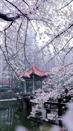 a gazebo surrounded by cherry blossoms in the park