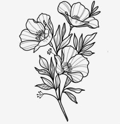 some flowers that are in the middle of a line drawing style, with leaves and buds on