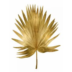 Gold Palm IV Poster Print by Melonie Miller-VARPDXMMR114319 Image 1 Palm Gold, Motif Art Deco, Tableau Art, Leaf Art, Painting Edges, Fine Arts Posters, Botanical Art, Stretched Canvas Prints, Gold Leaf