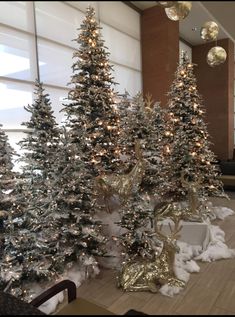 christmas trees are lined up in the lobby