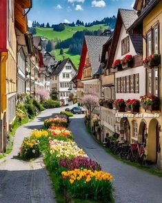 a street lined with houses and flowers in the middle of it's side walk