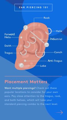 the anatomy of an ear and its corresponding parts infographicly displayed on a blue background