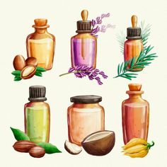 an illustration of different types of jars and nuts