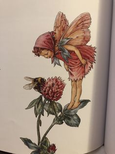 an open book with a drawing of a flower and a fairy on the front cover