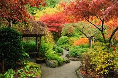 a garden with lots of colorful trees and plants on the sides of it's walkway