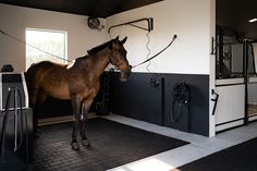 a brown horse standing next to a black and white wall in a room with windows