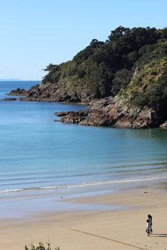 two people are walking on the beach by the water's edge with trees in the background