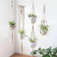 macrame plant hangers with plants in them