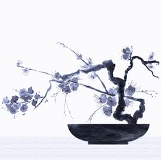 a black and white image of a bonsai tree in a vase with flowers on it