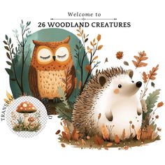 a hedgehog and an owl sitting next to each other in front of the words welcome to woodland creatures