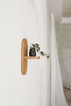 a potted plant sitting on top of a wooden shelf next to a white wall