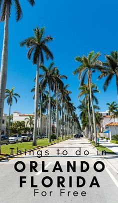 palm trees line the street with text overlay that reads things to do in orlando florida for free