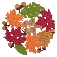 an arrangement of leaves and acorns arranged in a circle on a white background