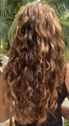 Natural Wavy Hair Highlights, Brown Curly Hair Highlights, Highlights On Wavy Hair, Wavy Summer Hair, Outfits With Curly Hair, Honey Blonde Highlights Curly Hair, Summer Hair Aesthetic, Brown Beach Hair, Long Wavy Hair Natural