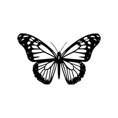 a black and white image of a butterfly