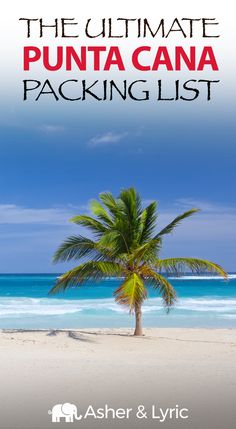 the ultimate punta cana packing list with palm tree in front of blue ocean