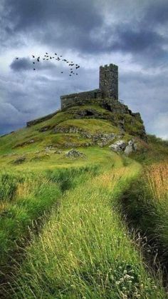 an old castle on top of a grassy hill with birds flying over it and in the sky