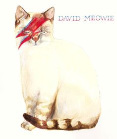 a drawing of a white cat with a red ribbon on its head and the words david meowe written below it