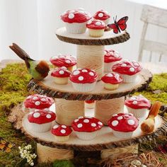 cupcakes and muffins are arranged on a tiered tray with moss