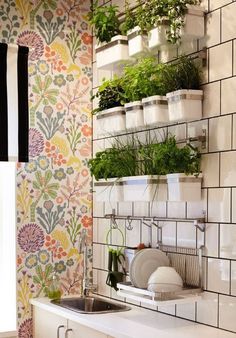 the kitchen is decorated with colorful wallpaper and potted plants on shelves above the sink