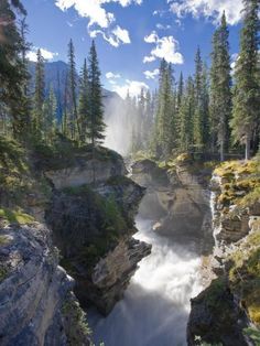 a waterfall in the middle of a forest filled with trees