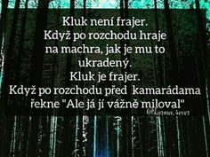 a forest with trees and the words kuluk nef fraer klypo pro