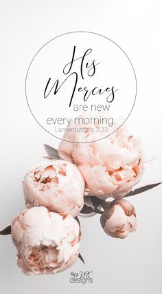 three pink flowers on a white background with the words, he's who are new every morning