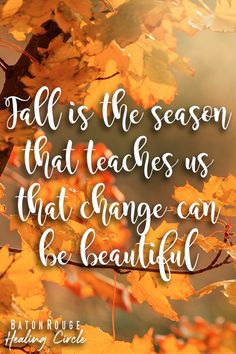 the quote fall is the season that teaches us that change can be beautiful on an autumn tree