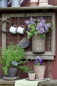 an old window is filled with potted plants