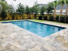 an empty swimming pool surrounded by palm trees