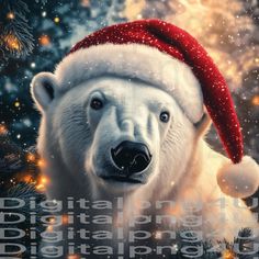 a polar bear wearing a santa hat with the words digital photography on it's face