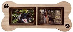 two dogs are shown in wooden frames with paw prints on the sides and one dog is looking at the camera