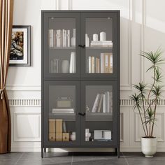 a bookcase with many books in it next to a potted plant on the floor