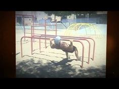 an animal that is laying down on a metal bar in the sand at a park