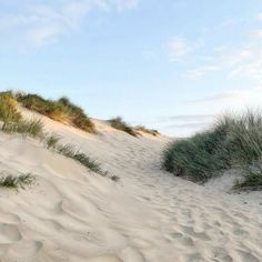 sand dunes with grass and sky in the background