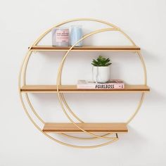 two shelves with books and a potted plant on one shelf in front of the other